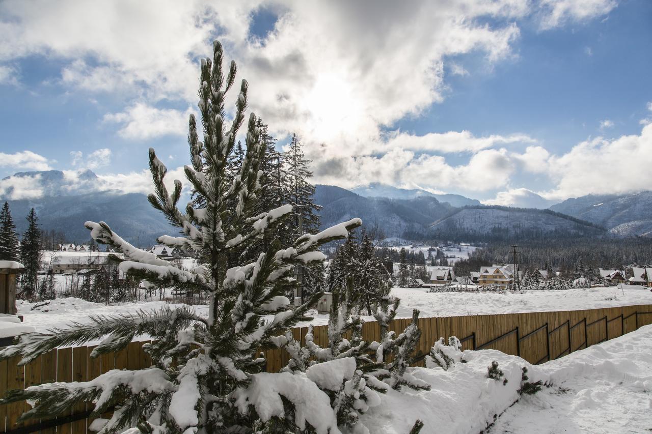 Udanypobyt Apartamenty Snowbird Kościelisko Exteriör bild